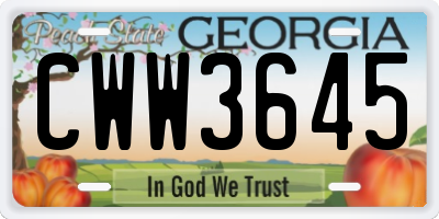 GA license plate CWW3645