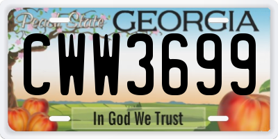 GA license plate CWW3699