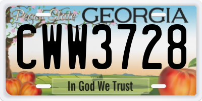 GA license plate CWW3728