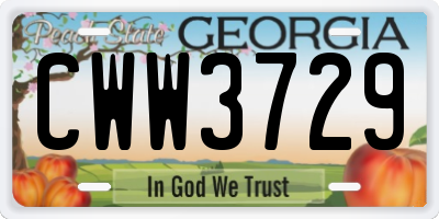 GA license plate CWW3729
