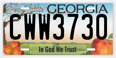 GA license plate CWW3730