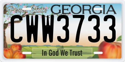 GA license plate CWW3733