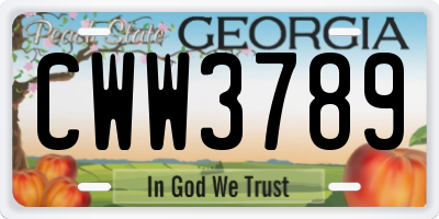 GA license plate CWW3789