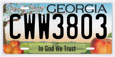 GA license plate CWW3803