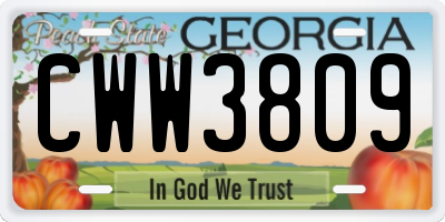 GA license plate CWW3809