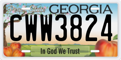 GA license plate CWW3824