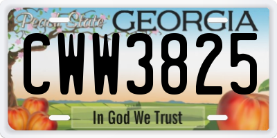 GA license plate CWW3825
