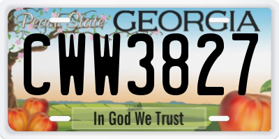 GA license plate CWW3827