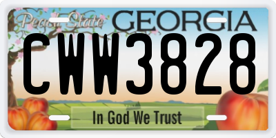GA license plate CWW3828