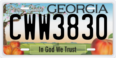 GA license plate CWW3830