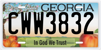 GA license plate CWW3832