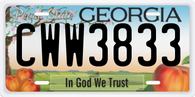 GA license plate CWW3833