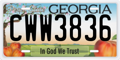 GA license plate CWW3836