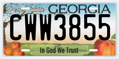 GA license plate CWW3855