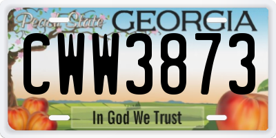 GA license plate CWW3873