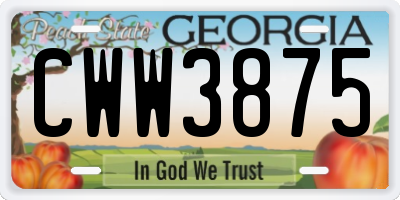 GA license plate CWW3875