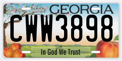GA license plate CWW3898