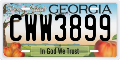 GA license plate CWW3899
