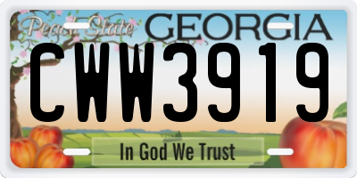 GA license plate CWW3919