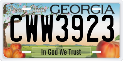 GA license plate CWW3923