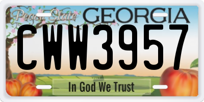 GA license plate CWW3957