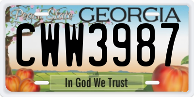 GA license plate CWW3987
