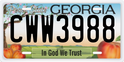 GA license plate CWW3988
