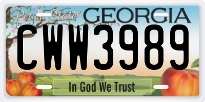GA license plate CWW3989