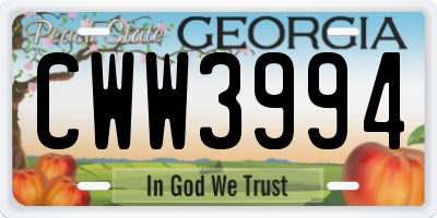 GA license plate CWW3994