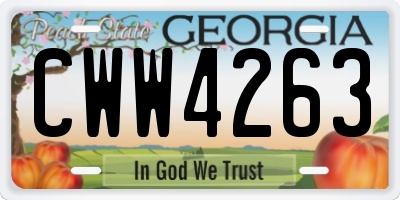 GA license plate CWW4263