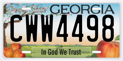 GA license plate CWW4498