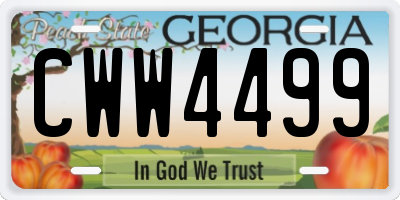 GA license plate CWW4499