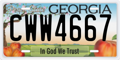 GA license plate CWW4667