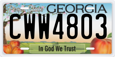 GA license plate CWW4803