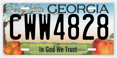 GA license plate CWW4828