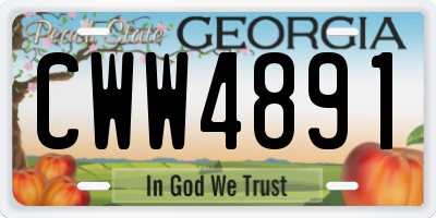 GA license plate CWW4891