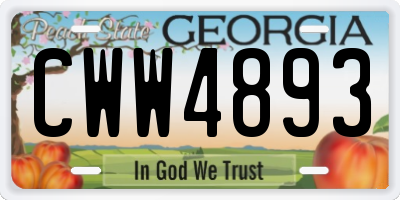 GA license plate CWW4893