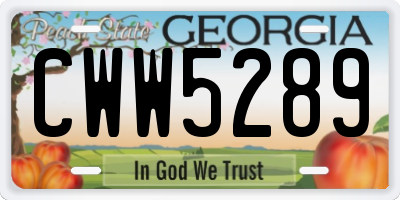 GA license plate CWW5289