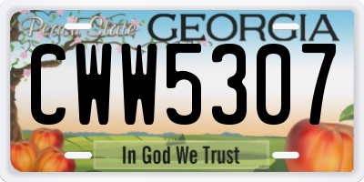 GA license plate CWW5307