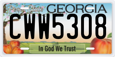GA license plate CWW5308