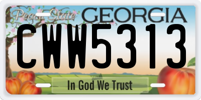 GA license plate CWW5313