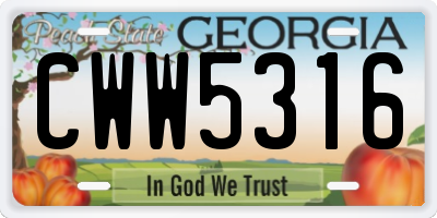 GA license plate CWW5316