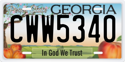 GA license plate CWW5340