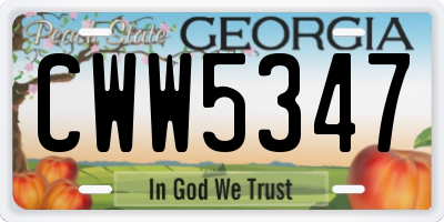 GA license plate CWW5347