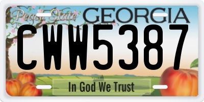 GA license plate CWW5387