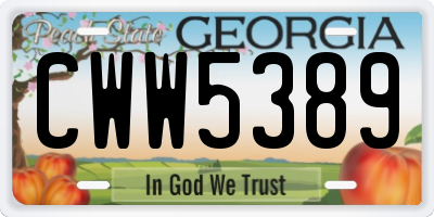 GA license plate CWW5389