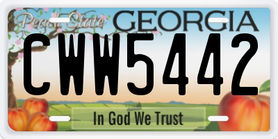 GA license plate CWW5442