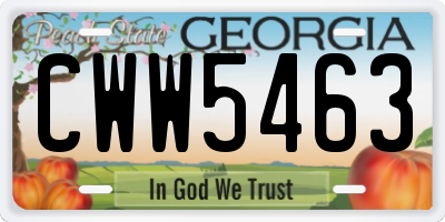 GA license plate CWW5463