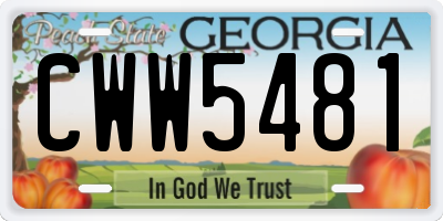 GA license plate CWW5481