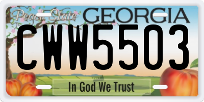 GA license plate CWW5503